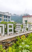 Туры в отель Sunflower Resort Hotel