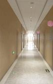 Туры в отель Dongfang Julong Hotel