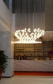 Туры в отель Dongfang Julong Hotel