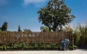 Туры в отель Floral Hotel · Plum Garden Mount Tai hotel