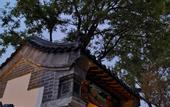 Туры в отель Floral Hotel · Plum Garden Mount Tai hotel