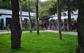 Туры в отель Floral Hotel · Plum Garden Mount Tai hotel