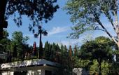 Туры в отель Floral Hotel · Plum Garden Mount Tai hotel