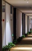 Туры в отель Virgin Angel Hotel