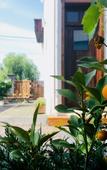 Туры в отель Liuniange Boutique Hostel