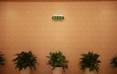Туры в отель Vienna Hotel (Xiangyang Zuanshi Avenue)