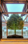 Туры в отель Wuzhen Maison New Century Grand Hotel
