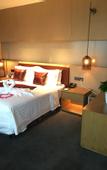 Туры в отель voco ZHENGZHOU GARDEN EXPO by IHG