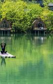 Туры в отель Wonderland Resort, Hangzhou Jiande, A Tribute Portfolio Resort