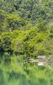 Туры в отель Wonderland Resort, Hangzhou Jiande, A Tribute Portfolio Resort