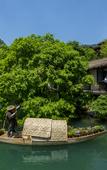 Туры в отель Wonderland Resort, Hangzhou Jiande, A Tribute Portfolio Resort