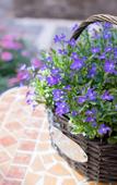 Туры в отель Huawushuang Garden Homestay
