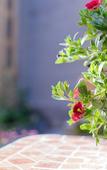 Туры в отель Huawushuang Garden Homestay