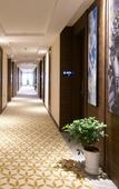 Туры в отель Manju Hotel (Zhujiajian Wharf, Putuo Airport)