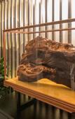 Туры в отель Baibo Hotel (Harbin Central Street Branch)