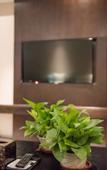 Туры в отель Baibo Hotel (Harbin Central Street Branch)