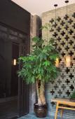 Туры в отель Time City Hotel (Minhou University Town)