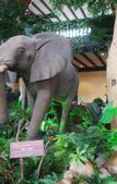 Туры в отель Ling Ling Hotel