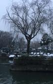 Туры в отель Floral Hotel· Zhouzhuang Ink Painting House Life Hotel