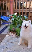 Туры в отель Yishu·designer light luxury vacation B & B