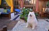 Туры в отель Yishu·designer light luxury vacation B & B