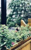 Туры в отель Floral Hotel·Zerunju Light Luxury Hotel