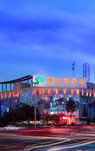 Туры в отель Vienna Hotel (Chengdu Shuangliu Airport Wanda Branch)