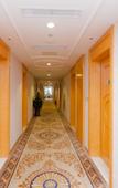 Туры в отель Vienna Hotel (Chengdu Shuangliu Airport Wanda Branch)