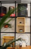 Туры в отель Mishe Shijian Boutique Hostel