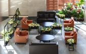 Туры в отель Dayi Samsara Hotel