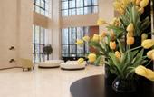Туры в отель Dayi Samsara Hotel