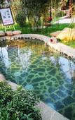 Туры в отель Western Evergreen Pu Zhen Hotel
