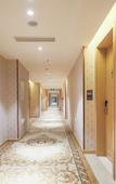 Туры в отель Vienna International Hotel (Nanjing Sun Yat-sen Agricultural University)