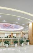 Туры в отель Vienna International Hotel (Nanjing Sun Yat-sen Agricultural University)