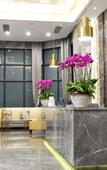 Туры в отель He Hotel
