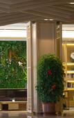 Туры в отель Starway Hotel (Harbin Central Avenue Xinyang Road)