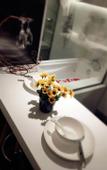 Туры в отель Boxington Hotel (Baoji High-tech High-speed Railway South Station)