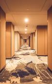 Туры в отель New Century Manju Hotel