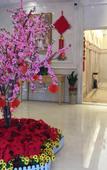Туры в отель Vienna International Hotel (Nanning Jinhu Square Langxi Metro Station Branch)