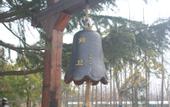 Туры в отель Qianwei 1966 Hotel