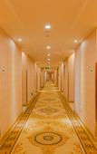 Туры в отель Vienna Hotel (Tianyang Ancient City High-speed Railway Station)