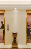 Туры в отель Vienna Hotel (Tianyang Ancient City High-speed Railway Station)