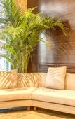 Туры в отель Hampton by Hilton Harbin Haxi