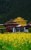 Туры в отель Pearl River International Hotel