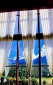 Туры в отель Pearl River International Hotel