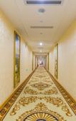 Туры в отель Vienna Hotel (Foshan Lishui Diyicheng)
