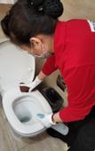 Туры в отель Homeinn Pebble Hotel (Beijing Changying Subway Station Chaoyang Hospital East Campus)