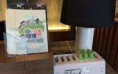 Туры в отель Shuxiang Habo Hotel