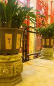 Туры в отель Carp Culture Hotel