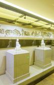 Туры в отель Carp Culture Hotel